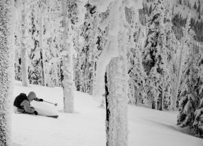 Skifahrer zwischen verschneiten Bäumen 